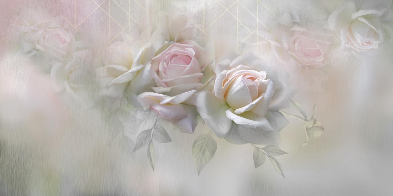 Фотообои Нежные розы в тумане