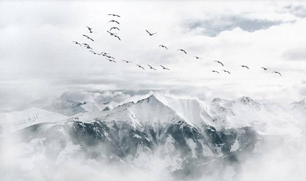 Фотообои Птицы над горами